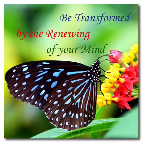 Beautiful Tile - Be Transformed by the Renewing of your Mind