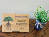 Colossians 3:6-7 Plaque - Rooted in Christ